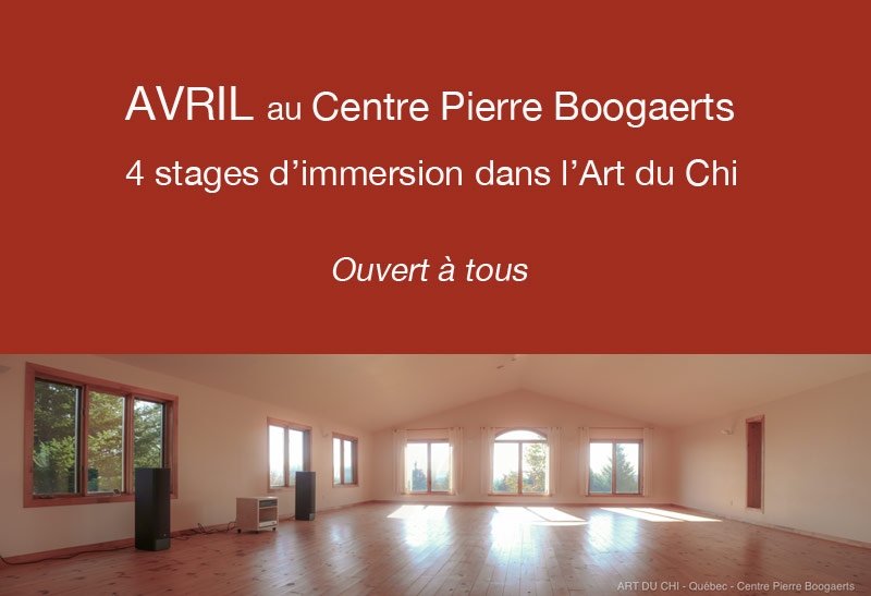4 stages d'immersion