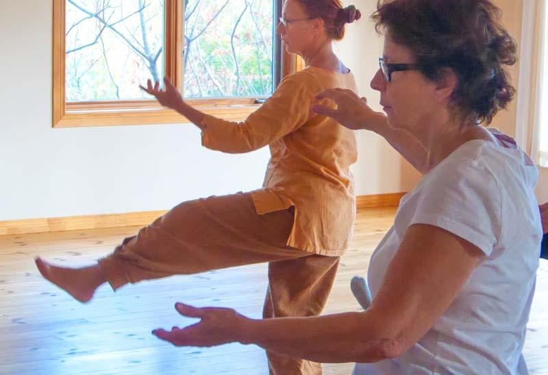 11 exercices chinois de santé et 8 brocarts 11 exercices chinois de santé et 8 brocarts