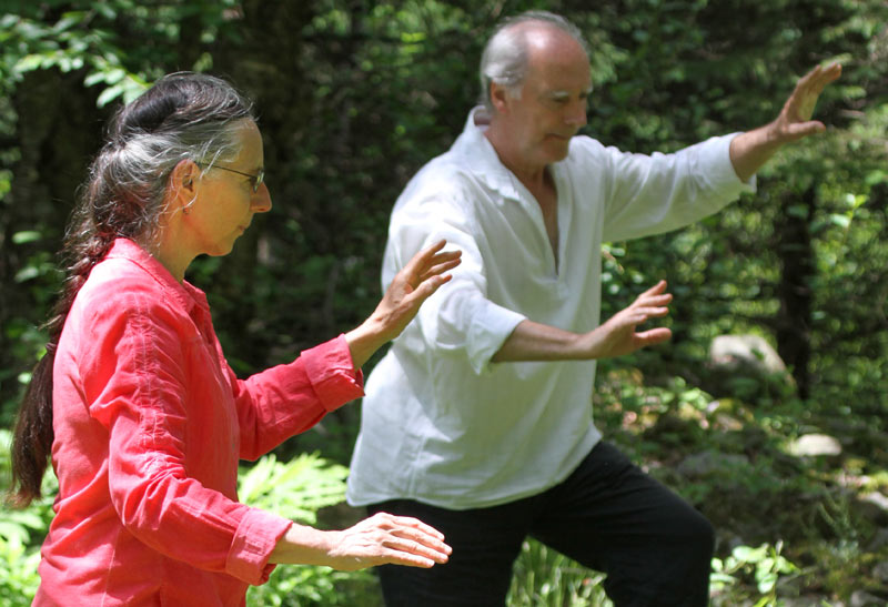 L’Art du Chi et le Tai Ji Quan (taïchichuan) avancé