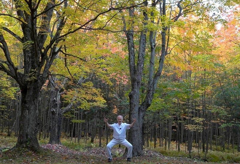 La respiration dans la pratique du Tai Ji Quan